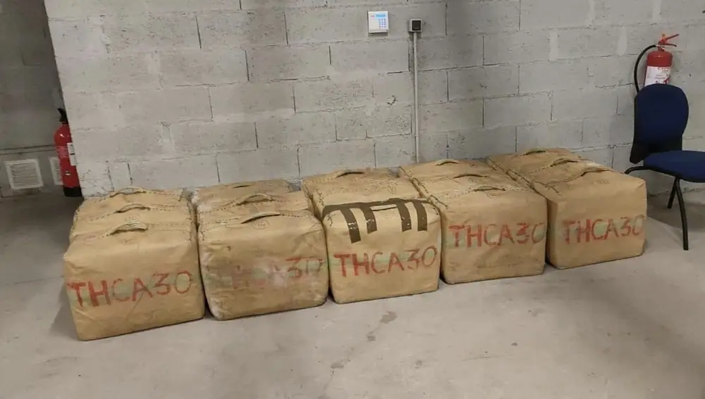 La droga incautada