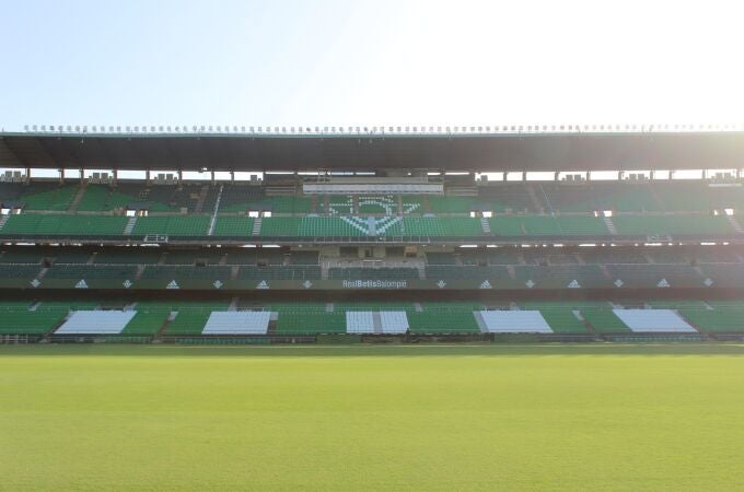 Sevilla.-El Real Betis activa un plan para proteger a los vencejos que anidan en el estadio de cara a la demolición
