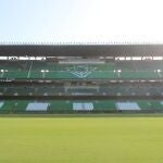 Sevilla.-El Real Betis activa un plan para proteger a los vencejos que anidan en el estadio de cara a la demolición