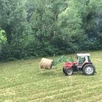 Economía.- Agricultura asigna 10,8 millones de la reserva nacional de ayuda básica a 2.336 agricultores y ganaderos