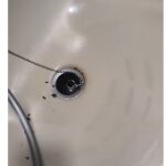 Cucarachas en la ducha xde una de las habitaciones