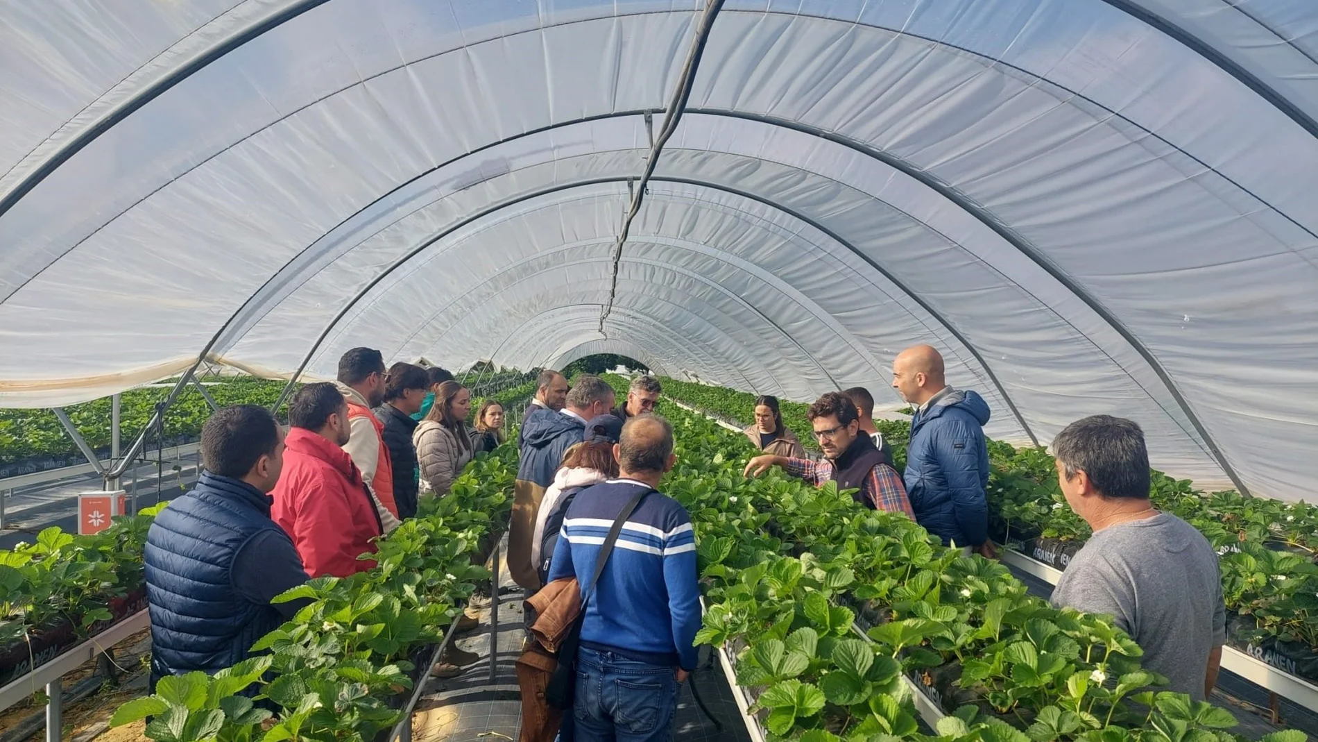 Los cultivos bajo plástico alcanzan los 241.797 €/ha