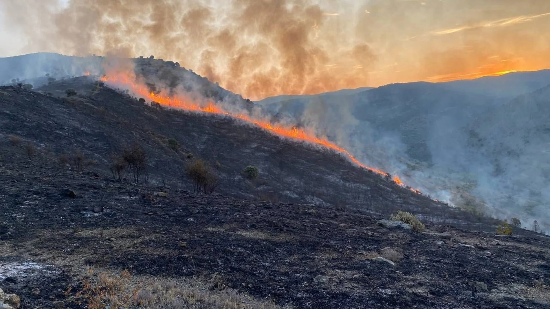 Sucesos.- Declarado el nivel 1 forestal por el incendio en Valdeperillo (La Rioja)