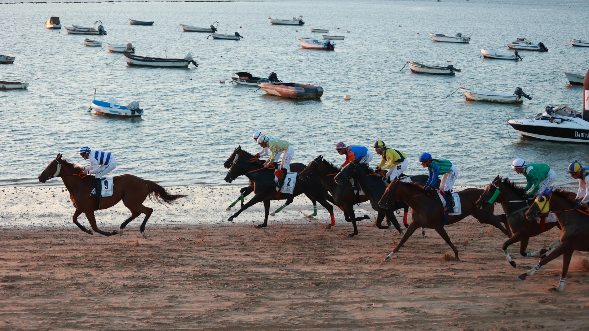 Carreras de caballos en la playa de Sanlúcar de Barrameda. A 16 de agosto de 2024 en Sanlúcar de Barrameda, Cádiz (Andalucía, España)