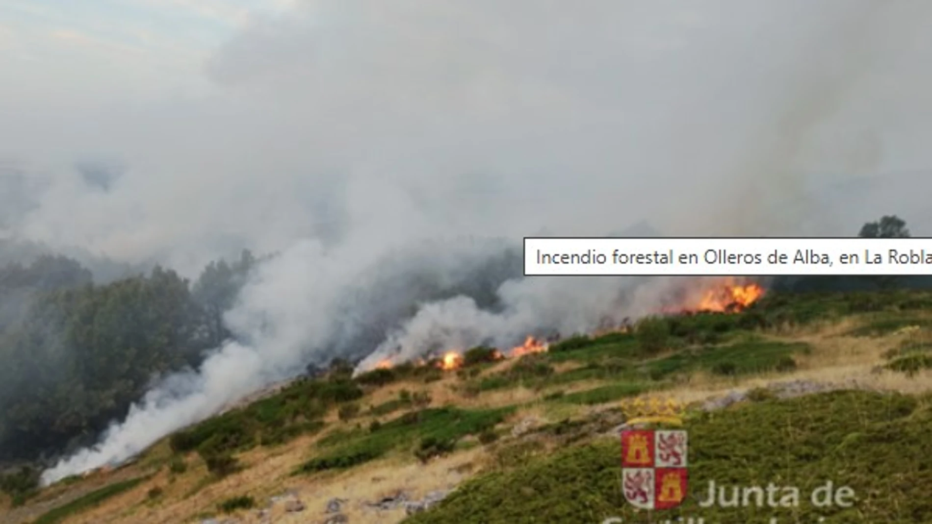 Inquietud ante un incendio forestal intencionado de Olleros de Alba (León)