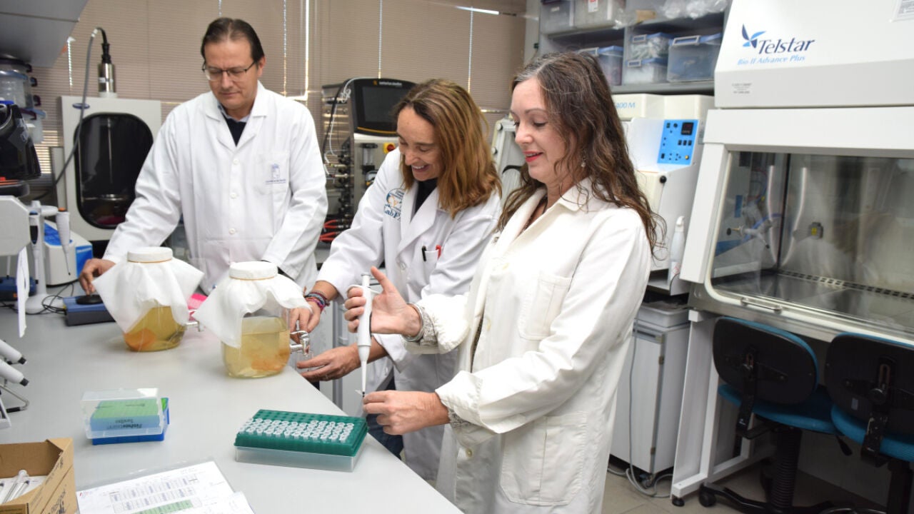 Crean una kombucha en España a partir de vino con alto potencial para alargar la vida y mejorar la salud