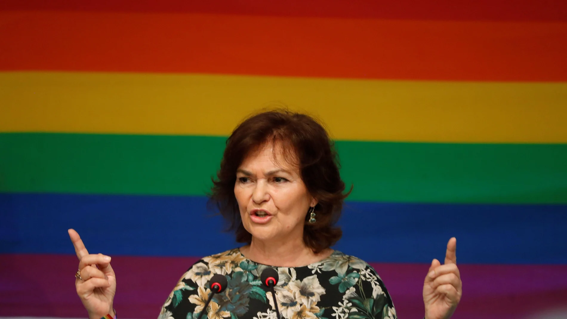 Carmen Calvo durante su intervención para dar la bienvenida a las delegaciones LGTBI del PSOE.
