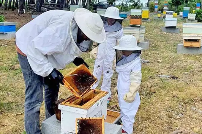 La empresa apícola leonesa que ha triunfado en los La empresa apícola leonesa que ha triunfado en los