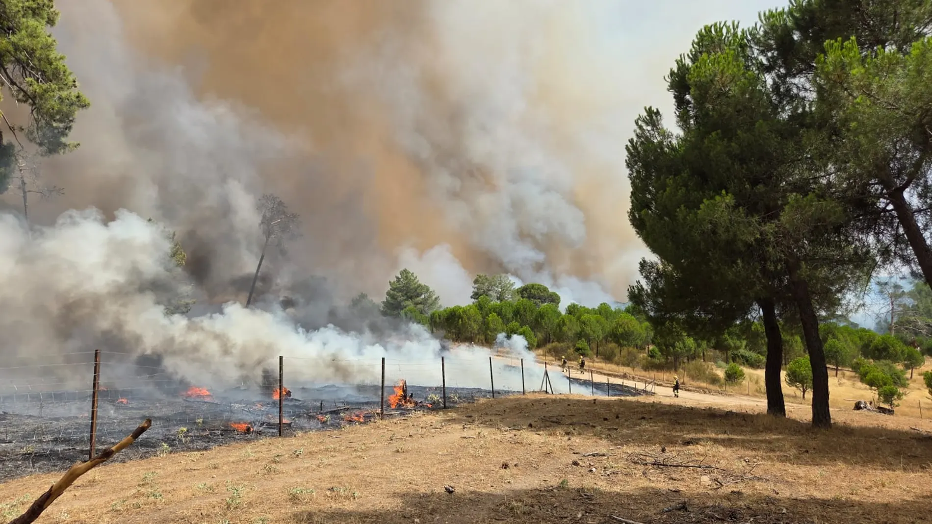 Declarado el nivel 2 de un incendio forestal registrado en la localidad abulense de San Bartolomé de Pinares
