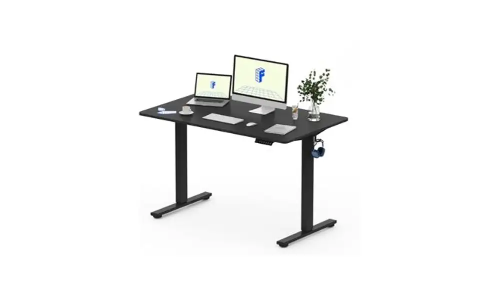FLEXISPOT Escritorio Elevable