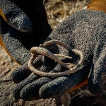 En el yacimiento tartesio de Tejada la Vieja, en Escacena (Huelva), ha sido localizado el santuario fundacional de esta ciudad de casi tres milenios de antigüedad