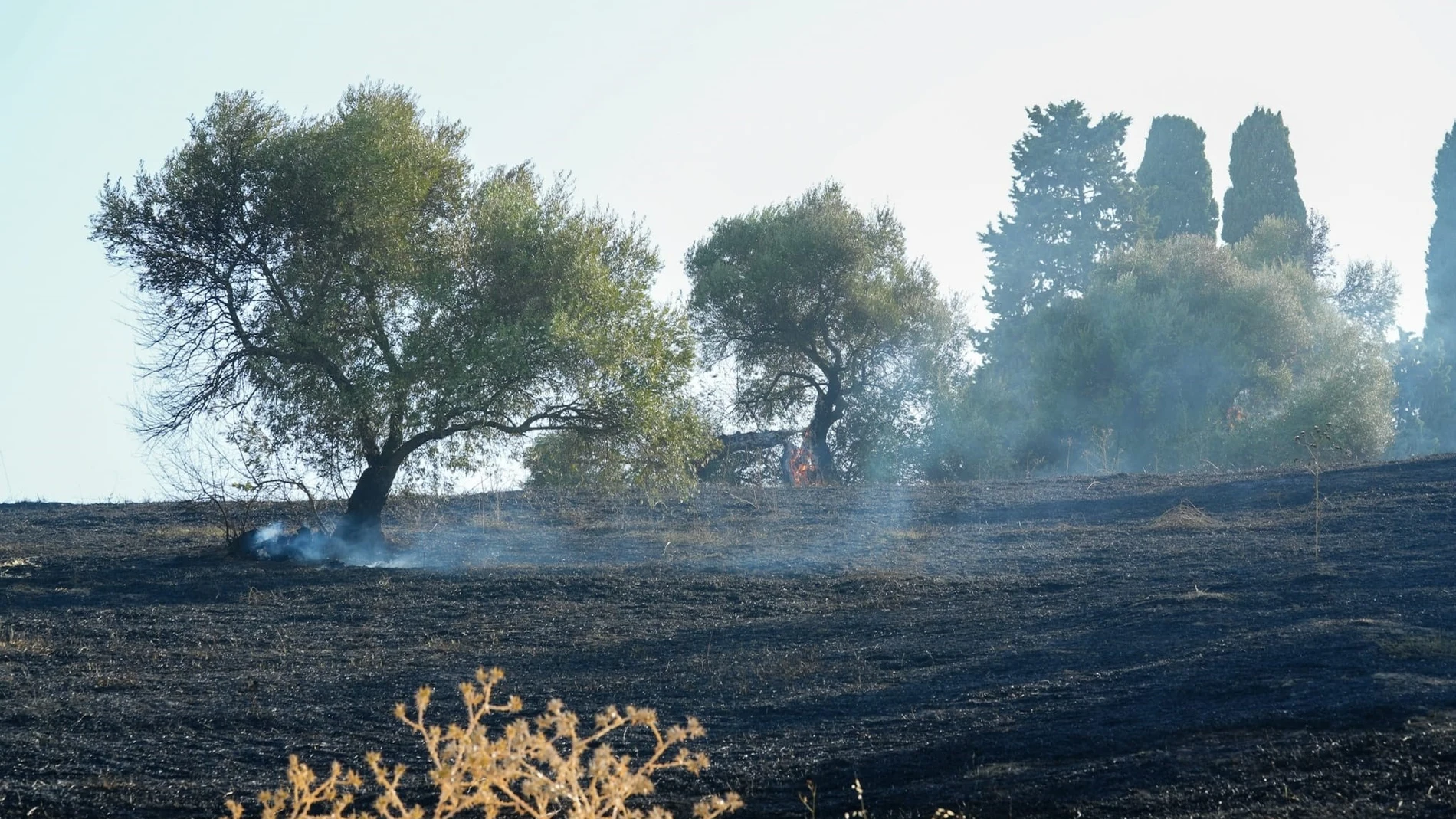 Incendio en el recinto del Conjunto Arqueológico de Itálica. FRANCISCO J. OLMO / EUROPA PRESS 08/08/2025