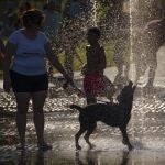 Perros sufriendo las olas de calor en Madrid y refrescándose en las fuentes