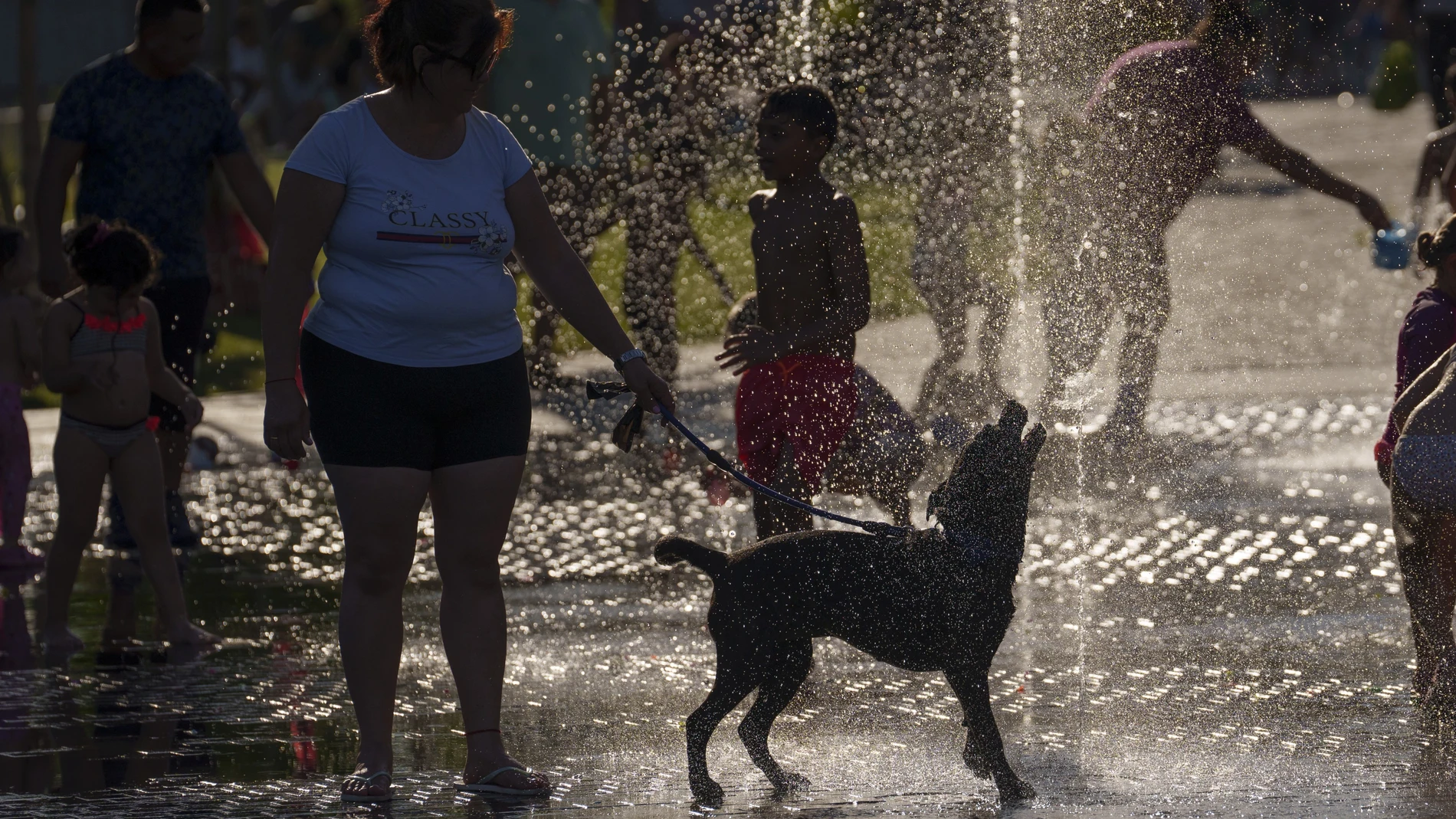 Perros sufriendo las olas de calor en Madrid y refrescándose en las fuentes