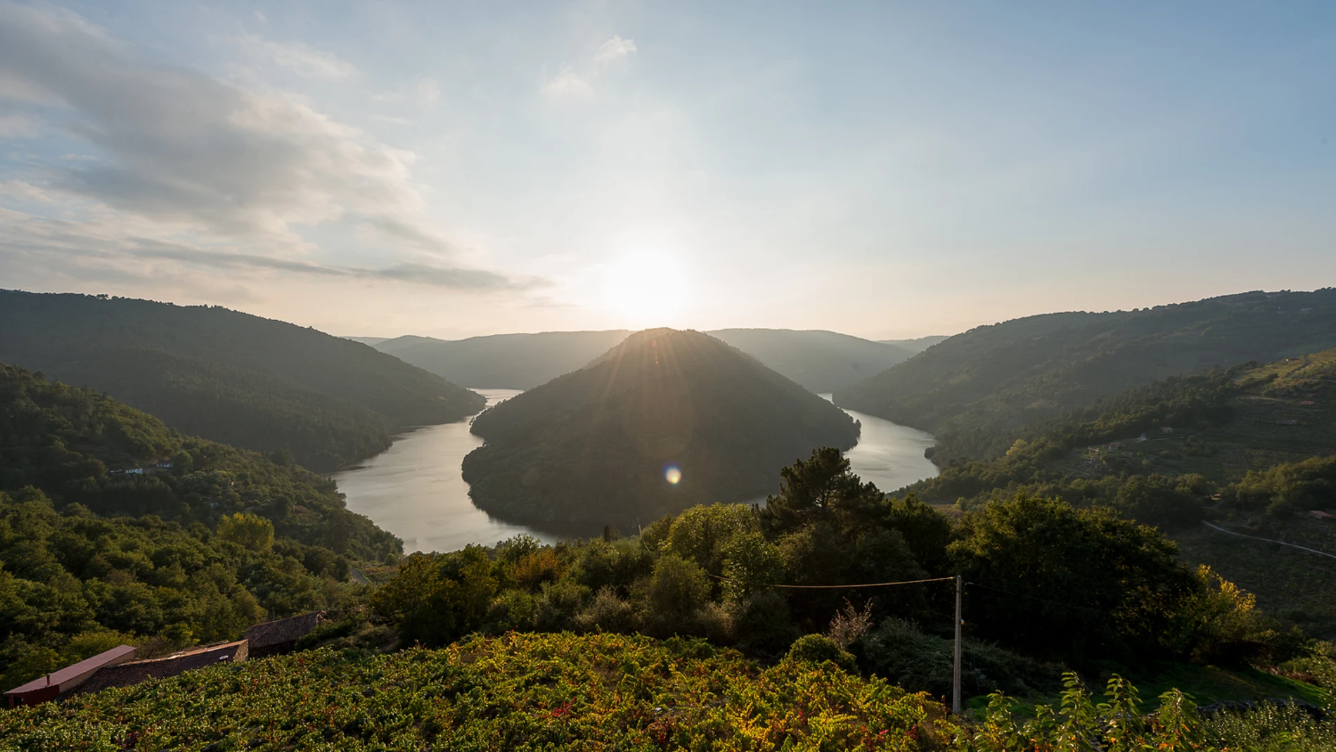 Así es la ruta por el río Miño que te llevará al corazón de la Ribeira Sacra a bordo de un catamarán