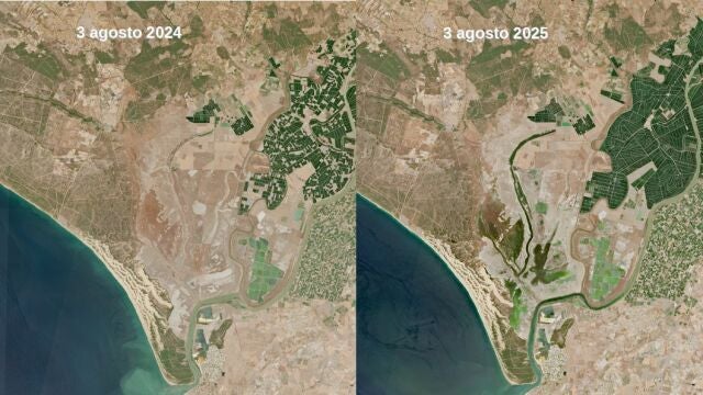 Desde 2018 no se observaban zonas de marisma en Doñana inundadas en estas fechas avanzadas del verano