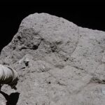 Harrison H. Schmitt, del Apolo 17, toma muestras en el valle Taurus-Littrow.