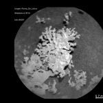 Muestra de la roca recuperada por el Curiosity