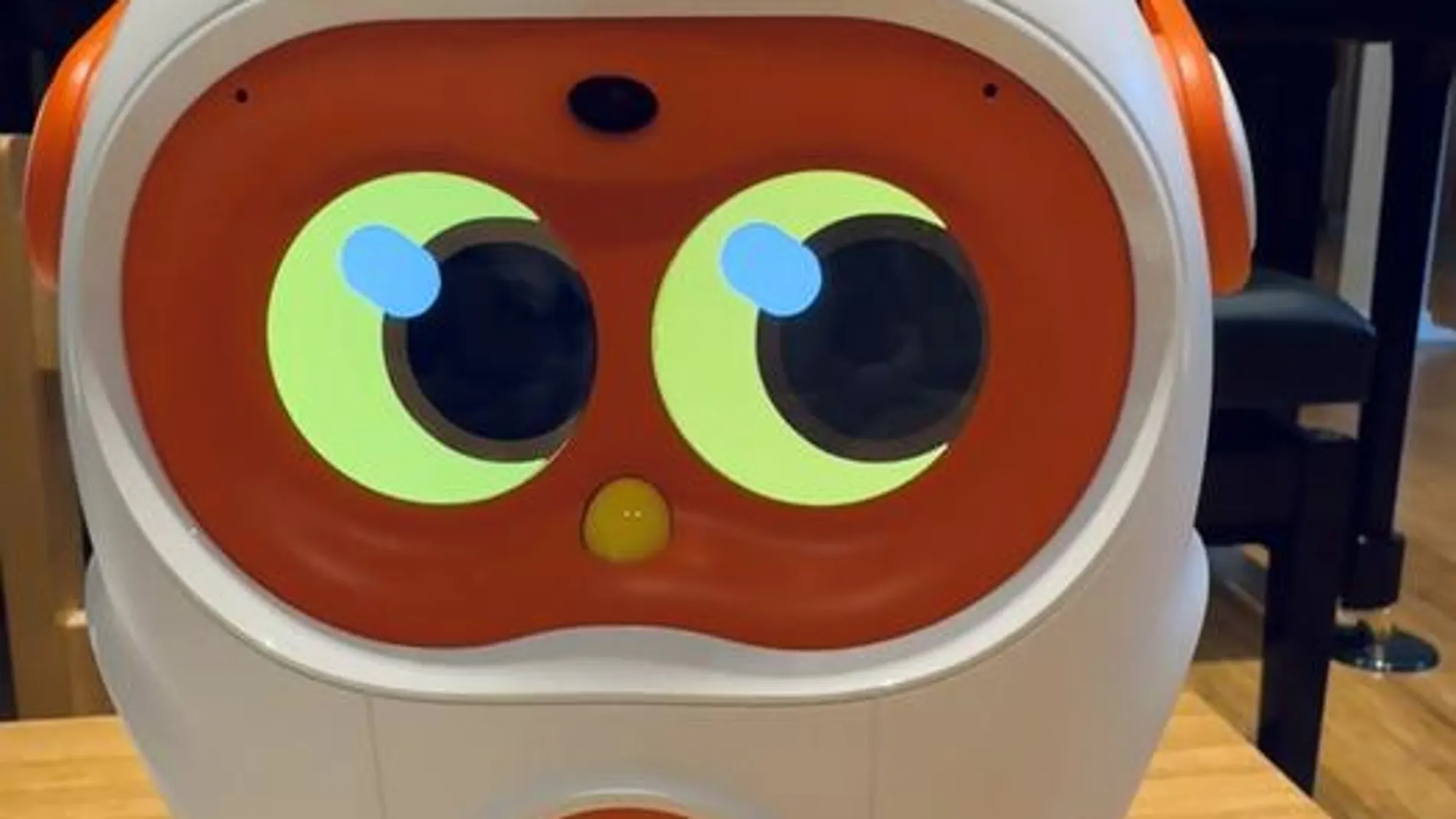 Robots