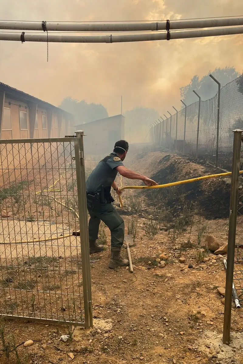 Incendio forestal declarado en Moliezuelas de la Carballeda (Zamora)