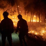 Asciende al nivel 2 el Plan INFONA por un incendio forestal declarado en un pinar en Carcastillo