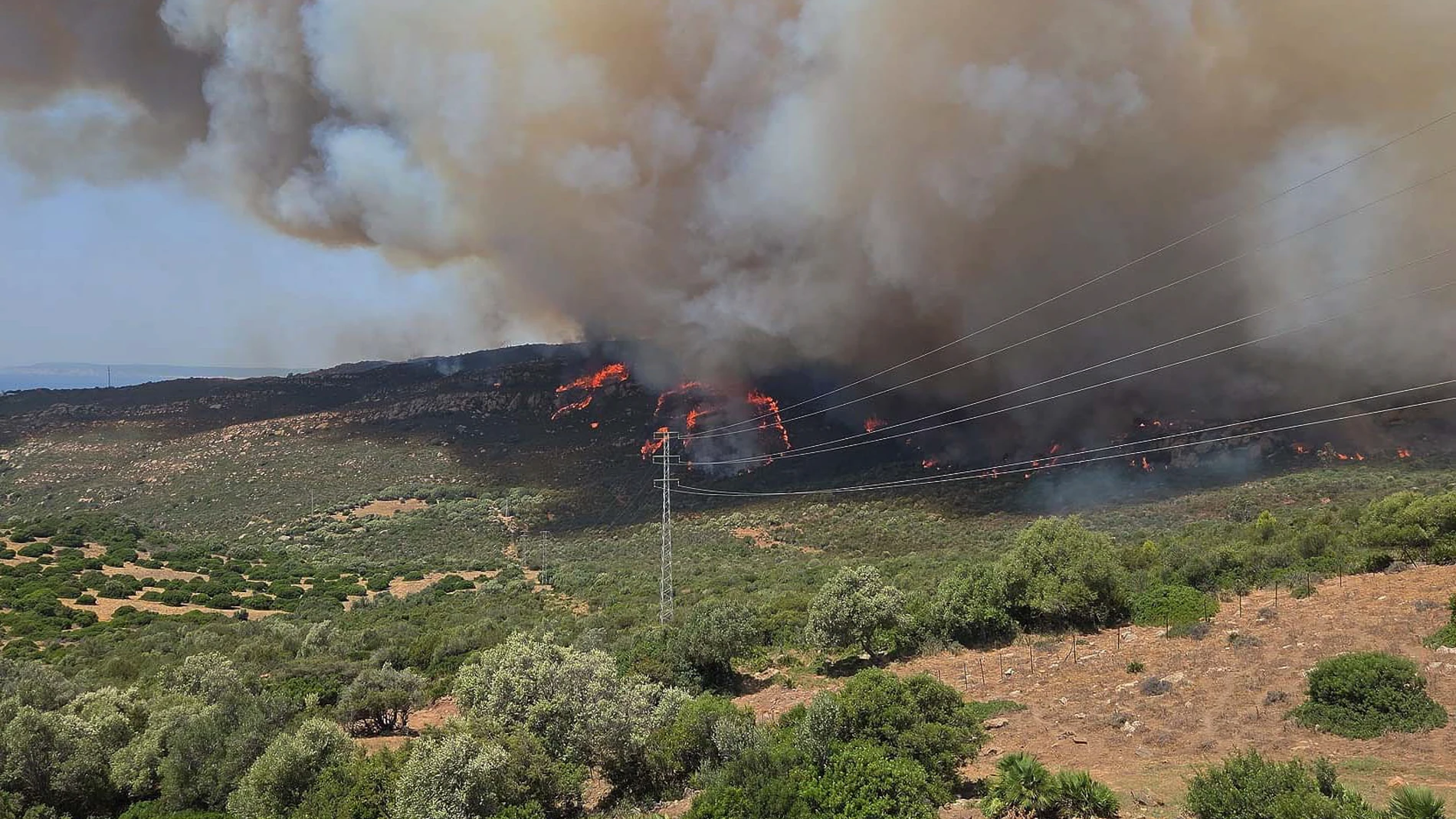 Las imágenes del fuego en Tarifa