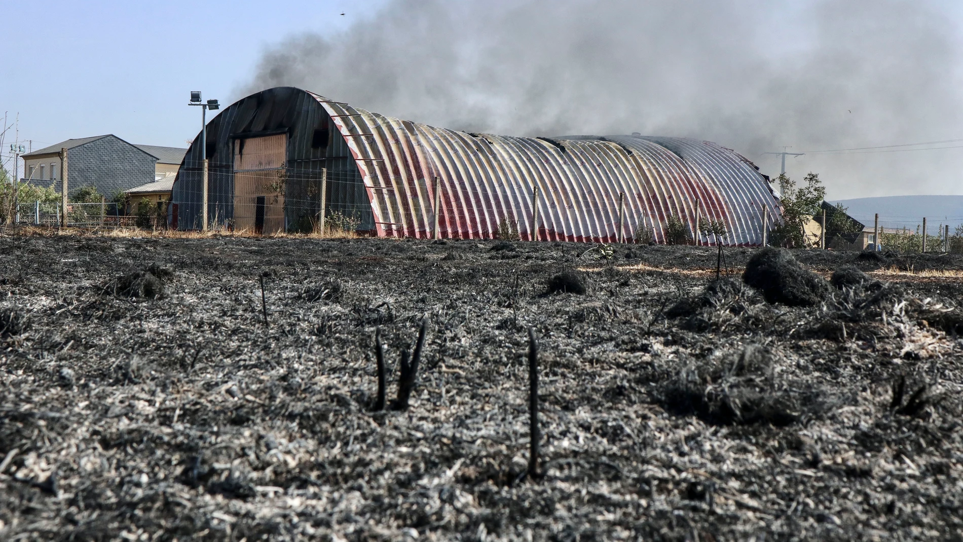 FOTODELDIA CUBO DE BENAVENTE (ZAMORA), 11/08/2025.- Imagen de los daños provocados por un incendio en Cubo de Benavente (Zamora), este lunes. La situación de este incendio forestal, que se inició en Molezuelas de la Carballeda (Zamora), ha mejorado tras haber quemado desde el domingo a primera hora de la tarde dos casas, naves y unas 3.500 hectáreas de terreno, y obligar a desalojar unas 850 personas en cuatro pueblos zamoranos. EFE/ Mariam A. Montesinos