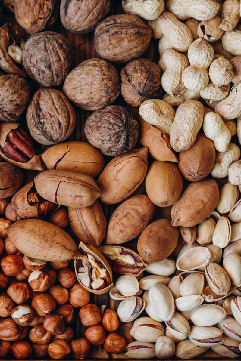 6 Fuentes de proteína vegetal que recomiendo: Beneficios para tu cuerpo y cerebro