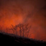 Incendio en Maceda (Ourense)