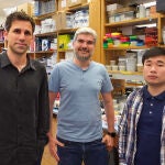 Los investigadores de la Universidad de Pensilvania 