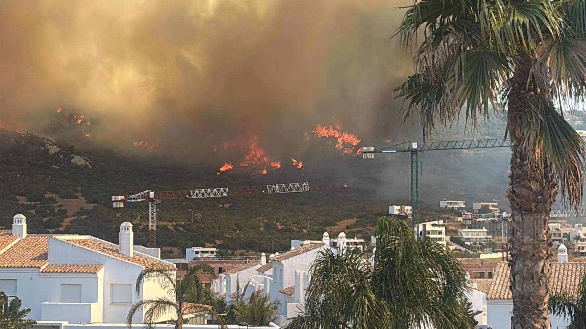FOTODELDÍA - CA01. TARIFA (CÁDIZ), 11/08/2025.-El dispositivo del Plan Infoca para la prevención y extinción de incendios de la Junta de Andalucía está procediendo al desalojo preventivo de viviendas y vehículos situados en la zona de playa de Atlanterra ante el peligroso avance de las llamas en el incendio forestal declarado en Tarifa (Cádiz). EFE/Ricardo Fernández