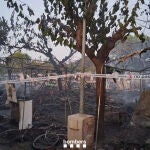 Casi 2.000 desalojados en un camping de El Vendrell por un incendio que ha quemado 14 caravanas y un coche
