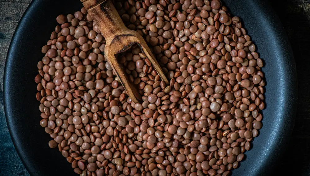 6 Fuentes de proteína vegetal que recomiendo: Beneficios para tu cuerpo y cerebro