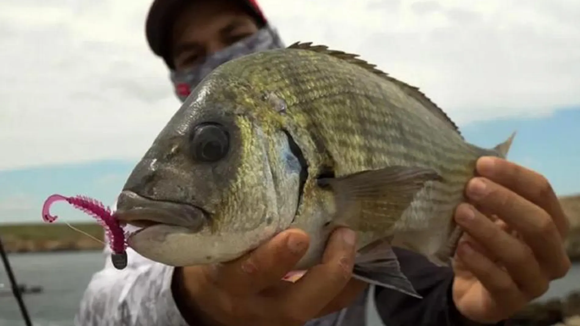 El influencer muestra un pescado capturado en Menorca a la cámara