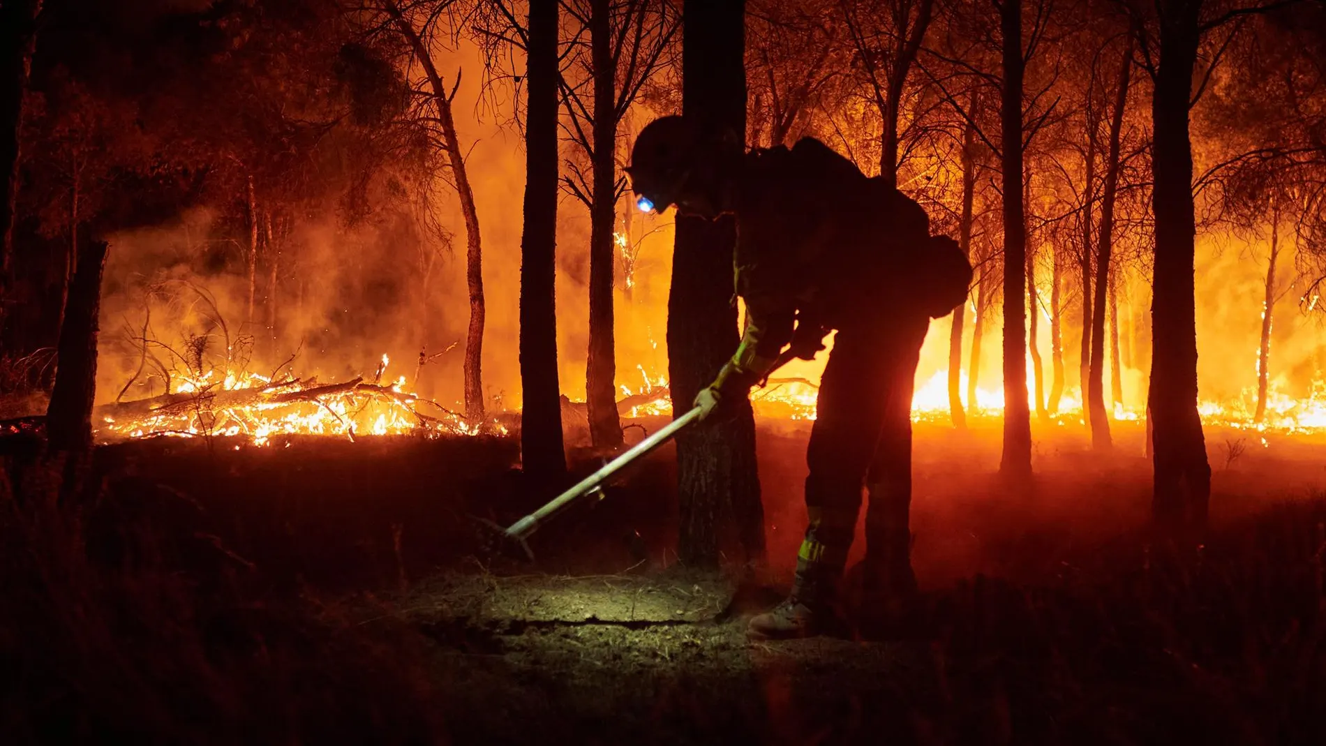 Incendios.- El fuego arrasa 39.155 hectáreas en España hasta el 3 de agosto, un 9% más que en 2024