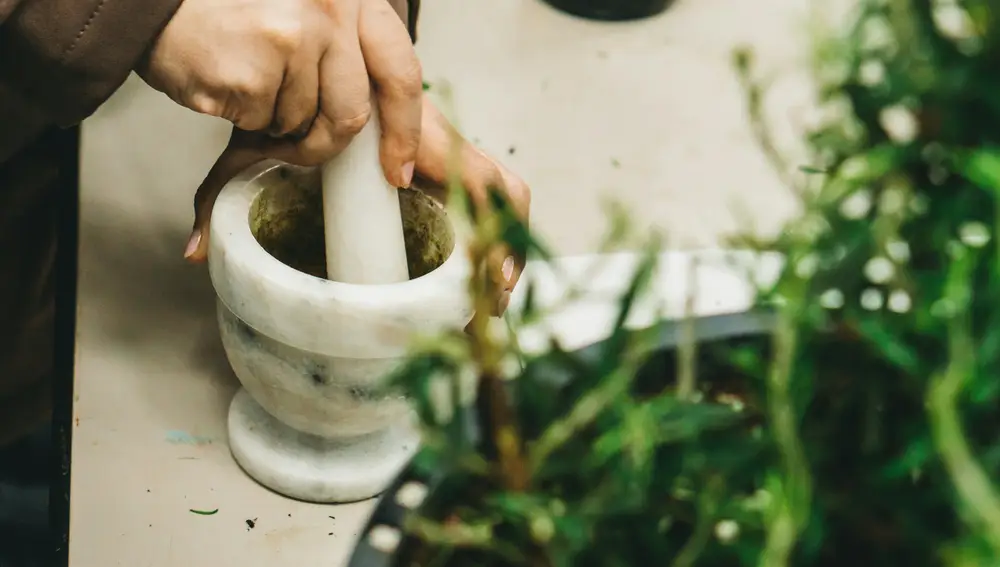 Hervir el romero es el mejor consejo casero que aprendí de mi abuela: transforma el ambiente de tu casa