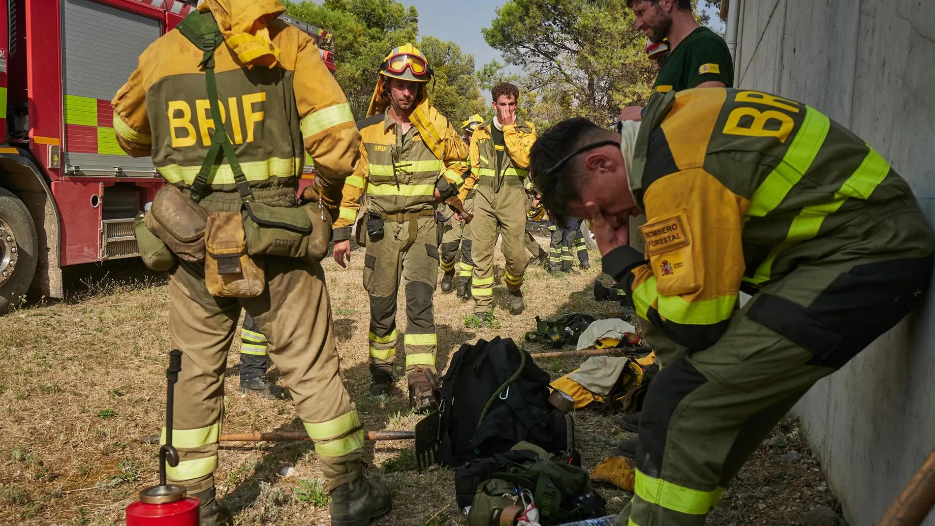 Greenpeace pide aprobar ya el Real Decreto para establecer criterios comunes en los planes de prevención de incendios