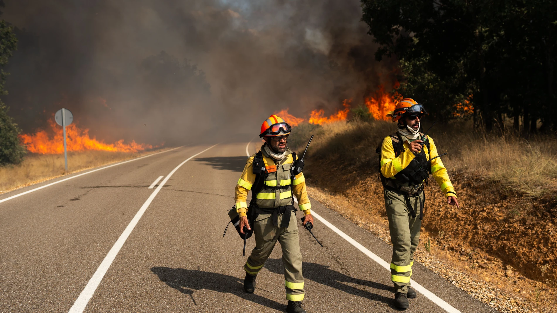Bomberos trabajan para extinguir el incendio, a 10 de agosto de 2025, en Molezuelas de la Carballeda, Zamora (España). La Junta de Castilla y León ha declarado çIndice de Gravedad Potencial (IGR) 2 en un incendio originado en la localidad de Molezuelas de la Carballeda (Zamora), que ha sido desalojada al igual que los vecinos de Cubo de Benavente y Uña de Quintana. El fuego se ha originado sobre las 14:30 horas de este domingo, y se ha elevado a gravedad 2 a las 16:31 horas, por situaciones d...