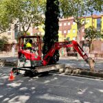 El Ayuntamiento de Salamanca renueva la mediana del paseo de Carmelitas con 2.590 nuevas plantas arbustivas