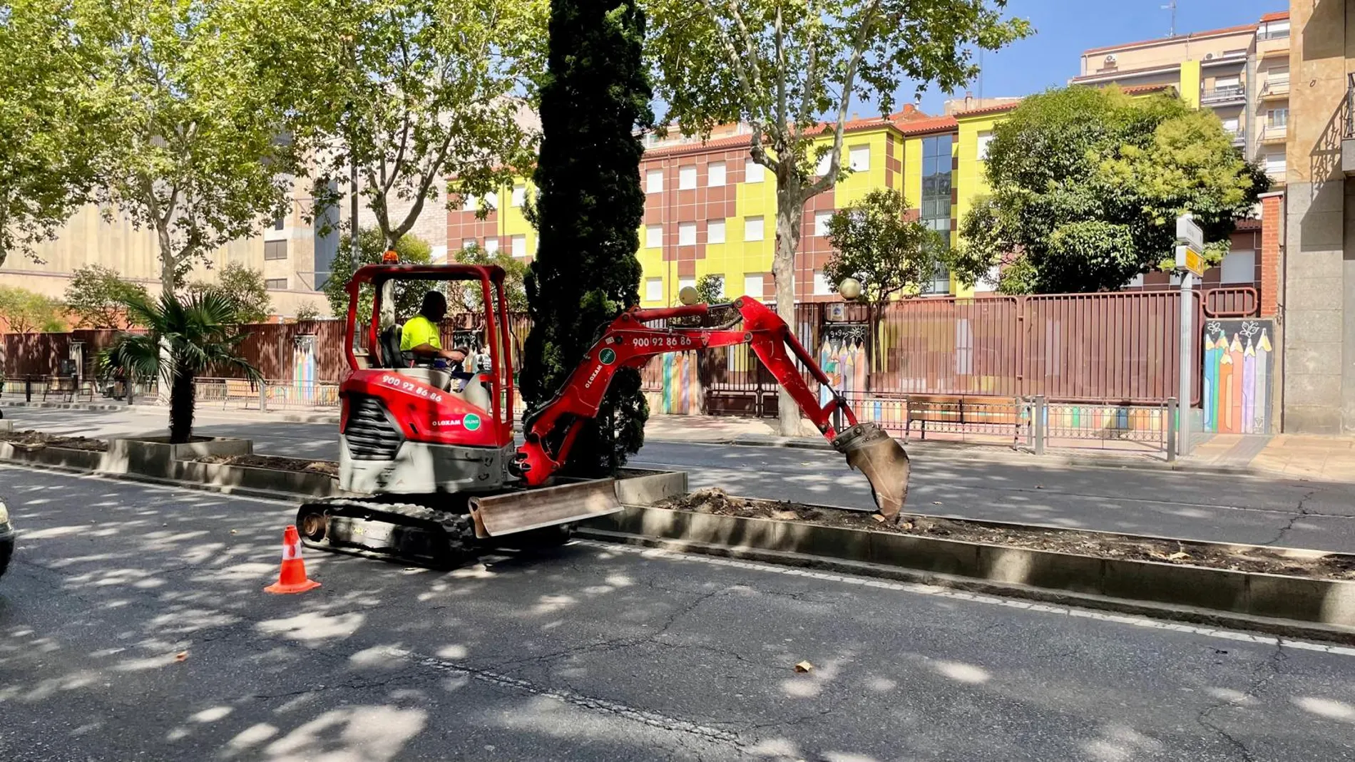 El Ayuntamiento de Salamanca renueva la mediana del paseo de Carmelitas con 2.590 nuevas plantas arbustivas