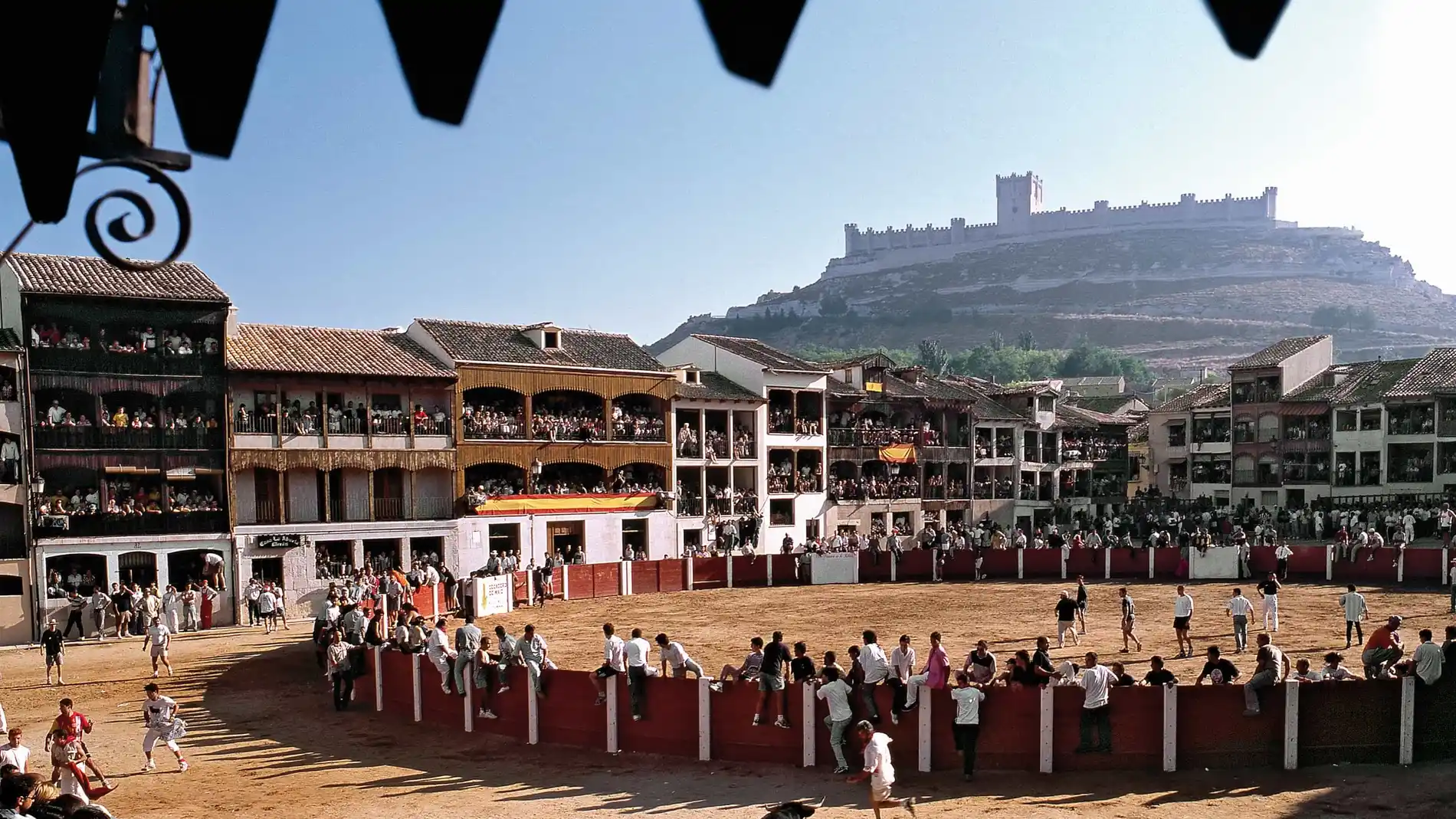 Plaza del Coso de Peñafiel, donde es típica la suelta de toros por dentro y por fuera del ruedo en las capeas