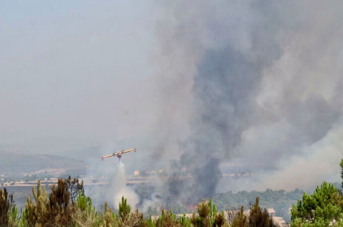 Incendio forestal en Abejera (Zamora)