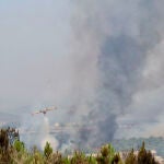 Incendio forestal en Abejera (Zamora)
