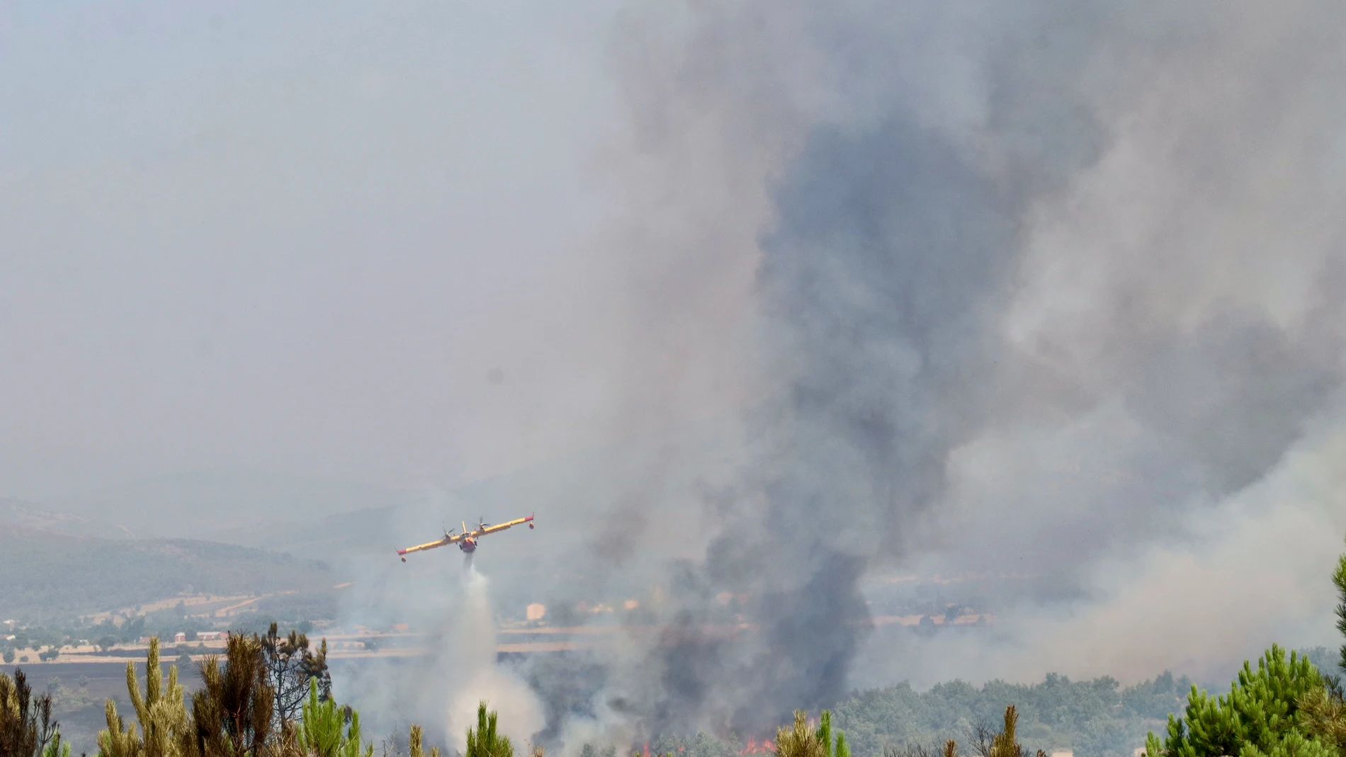 ABEJERA (ZAMORA), 13/08/2025.- Un hidroavión descarga este miércoles sobre las llamas del incendio forestal de Abejera (Zamora). Además de seis personas heridas, la virulencia de las llamas a su paso por la zona la tarde del martes ha hecho que se hayan quemado al menos una decena de viviendas y otras edificaciones en esa localidad del entorno de la Sierra de la Culebra de Zamora. EFE/Mariam A. Montesinos