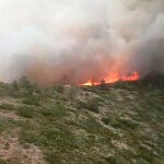 Incendio en Teresa de Cofrentes