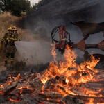 Incendio forestal en Monterrei (Ourense)