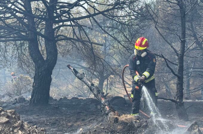 Opinión en La Razón