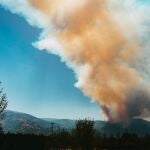 Sucesos.- La situación de los incendios en Extremadura es de "extrema gravedad" y preocupan Aliseda y Casar de Cáceres