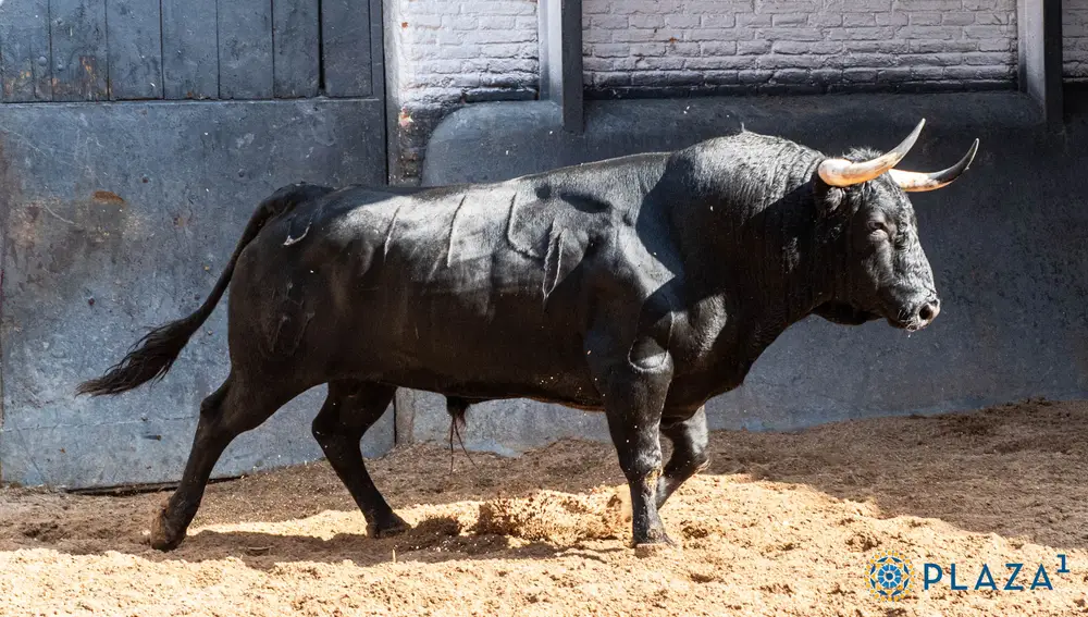 "Espigador", nº 114