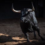 Leña y cuajo en los de Toros de El Torero para la confirmación de Rafa Serna en el Día de la Virgen de la Paloma
